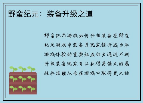 野蛮纪元：装备升级之道