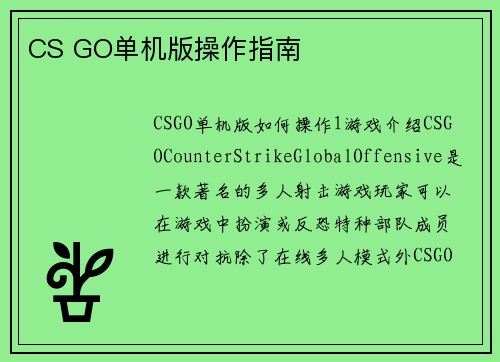 CS GO单机版操作指南